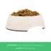 Top Paw® Tan Dog Melamine Dog Bowl, Multiple Sizes 12 OZ, 27 OZ image thumbnail 4