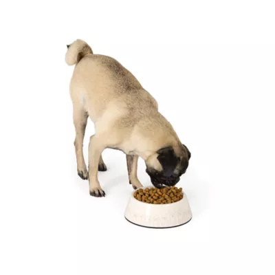 Top Paw® Tan Dog Melamine Dog Bowl, Multiple Sizes 12 OZ, 27 OZ - Image 6