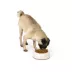 Top Paw® Tan Dog Melamine Dog Bowl, Multiple Sizes 12 OZ, 27 OZ image thumbnail 6
