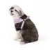 Top Paw® Mesh Dog Harness, Adjustable, Neoprene, Mesh, Color and Size Vary image thumbnail 1