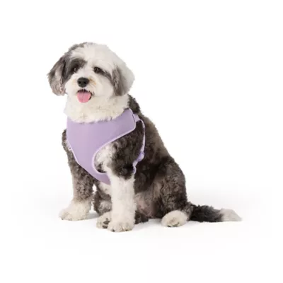 Top Paw® Mesh Dog Harness, Adjustable, Neoprene, Mesh, Color and Size Vary - Image 2
