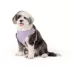 Top Paw® Mesh Dog Harness, Adjustable, Neoprene, Mesh, Color and Size Vary image thumbnail 2