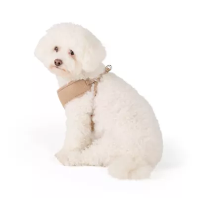 Top Paw® Mesh Dog Harness, Adjustable, Neoprene, Mesh, Color and Size Vary - Image 1