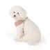 Top Paw® Mesh Dog Harness, Adjustable, Neoprene, Mesh, Color and Size Vary image thumbnail 1