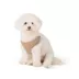 Top Paw® Mesh Dog Harness, Adjustable, Neoprene, Mesh, Color and Size Vary image thumbnail 2