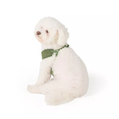 Top Paw® Mesh Dog Harness, Adjustable, Neoprene, Mesh, Color and Size Vary - Image 1