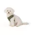 Top Paw® Mesh Dog Harness, Adjustable, Neoprene, Mesh, Color and Size Vary image thumbnail 2