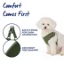 Top Paw® Mesh Dog Harness, Adjustable, Neoprene, Mesh, Color and Size Vary image thumbnail 4