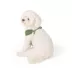 Top Paw® Mesh Dog Harness, Adjustable, Neoprene, Mesh, Color and Size Vary image thumbnail 1