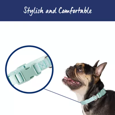 Top Paw® Signature Dog Collar, Adjustable, Comfortable, Durable, Multiple Sizes, Multiple Colors - Image 2