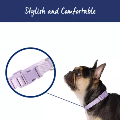 Top Paw® Signature Dog Collar, Adjustable, Comfortable, Durable, Multiple Sizes, Multiple Colors - Image 2
