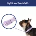 Top Paw® Signature Dog Collar, Adjustable, Comfortable, Durable, Multiple Sizes, Multiple Colors image thumbnail 2