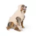 Top Paw® Dog Bear Hoodie, Multiple Colors & Sizes, Cream/Pink/Grey/Brown, XS-XL image thumbnail 1