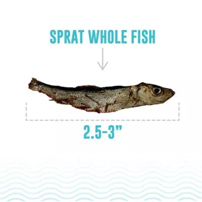 Icelandic+ Whole Fish Natural Cat Treats - Sprat, 0.8 oz - Image 4