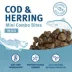 Icelandic+ Mini Combo Bites Natural Cat Treat - Cod & Herring, 1.7 oz image thumbnail 5