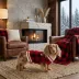 HOTEL DOGGY® Dog Plaid Sweater Cardigan image thumbnail 7