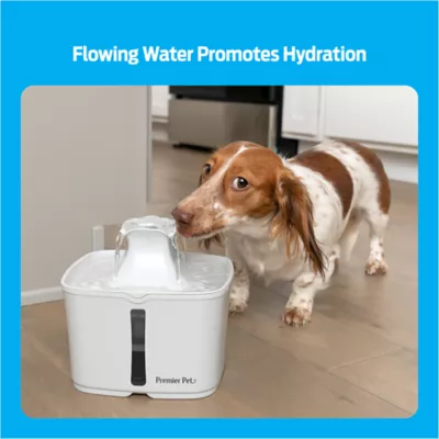 Premier Pet® 60 oz. Pet Fountain, Black - Image 3