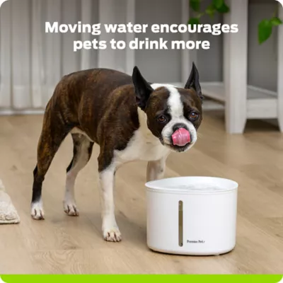 Premier Pet® 110 oz. Pet Fountain, White - Image 2