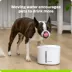 Premier Pet® 110 oz. Pet Fountain, White image thumbnail 2