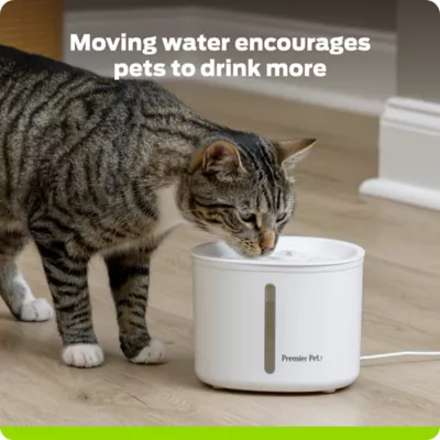 Premier Pet 54 oz. Pet Fountain, White - Image 2