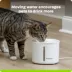 Premier Pet 54 oz. Pet Fountain, White image thumbnail 2