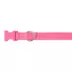 Top Paw® Signature Dog Collar, Adjustable, Comfortable, Durable, Multiple Sizes, Multiple Colors image thumbnail 1