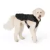 Arcadia Trail® Black Adjustable Dog Coat, Multiple Sizes, XS-XXL image thumbnail 1