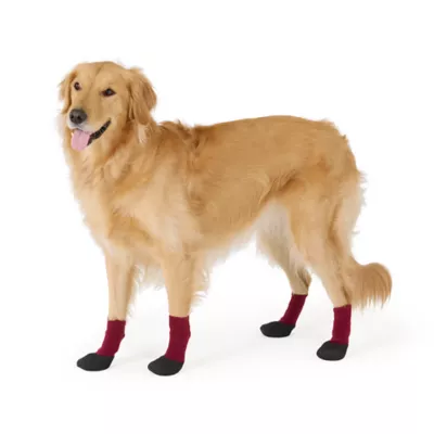 Arcadia Trail® Coated Dog Socks, Multiple Colors & Sizes, Black/Burgundy, XS-XXL - Image 1