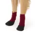 Arcadia Trail® Coated Dog Socks, Multiple Colors & Sizes, Black/Burgundy, XS-XXL image thumbnail 2