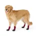Arcadia Trail® Coated Dog Socks, Multiple Colors & Sizes, Black/Burgundy, XS-XXL image thumbnail 1
