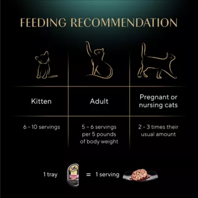 Sheba® Perfect Portions™ Cuts in Gravy Adult Wet Cat Food - Variety Pack, 48 Count, 7.93lbs - Image 6