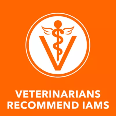 IAMS™ Perfect Portions™ Adult Wet Cat Food - Pate, 24 Count, 3.9 Lbs - Image 5