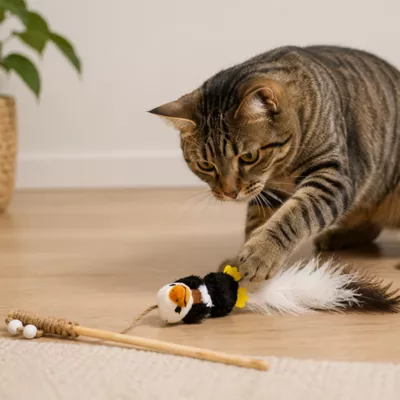 ROAM Ossy Ostrich Feather Teaser Cat Toy - Image 4