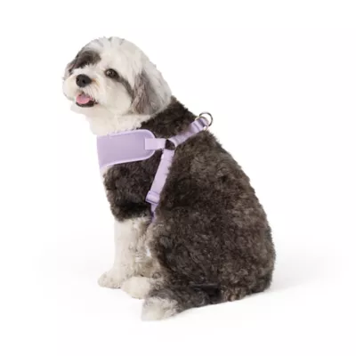 Top Paw® Mesh Dog Harness, Adjustable, Neoprene, Mesh, Color and Size Vary - Image 1