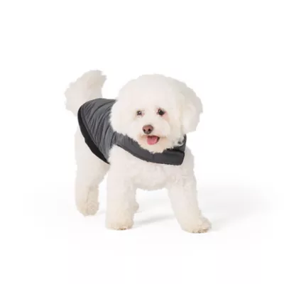 Arcadia Trail® Reflective Dog Coat, Multiple Colors & Sizes, Black/Blue, XS-XXL - Image 1