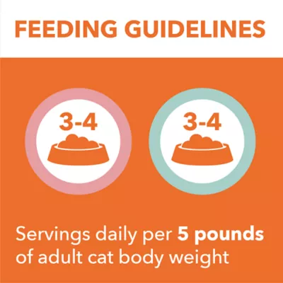 IAMS™ Perfect Portions™ Adult Wet Cat Food - Pate, 24 Count, 3.9 Lbs - Image 6