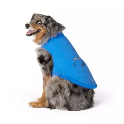 Arcadia Trail® Reflective Dog Coat, Multiple Colors & Sizes, Black/Blue, XS-XXL - Image 2