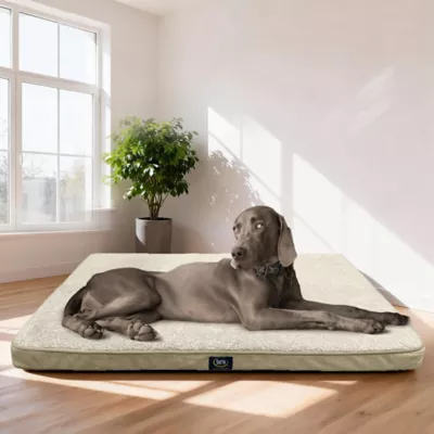 Serta Rectagular Memory Foam Crate Mat For Dogs, Relieves Joint Pain & Pressure, Washable, Tan - Image 4