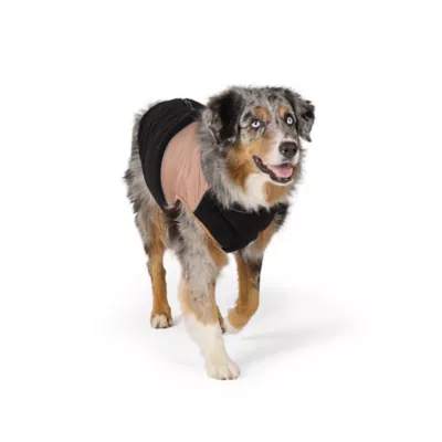 Arcadia Trail® Black Step-In Dog Jacket, Multiple Sizes, XS-XXL - Image 1