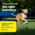 PetSafe® Customizable GPS Dog Fence, Custom-Shaped Virtual Boundaries, Charging Cable Included image thumbnail 3