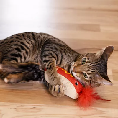 Catstages Hot Dog Catnip Dental Kicker Cat Toys - Image 7