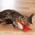 Catstages Hot Dog Catnip Dental Kicker Cat Toys image thumbnail 7