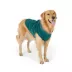 Top Paw® Step In Dog Jacket, Multiple Colors & Sizes, Teal/Pink/Grey/Brown/Blue, XS-XL image thumbnail 1