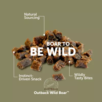 ROAM® Wild-B Nibs Sustainable Protein Premium Cat Treats - Outback Wild Boar, 2 oz - Image 4