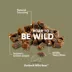 ROAM® Wild-B Nibs Sustainable Protein Premium Cat Treats - Outback Wild Boar, 2 oz image thumbnail 4