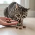 ROAM® Wild-B Nibs Sustainable Protein Premium Cat Treats - Outback Wild Boar, 2 oz image thumbnail 5