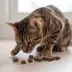 ROAM Bucky Nibs Sustainable Protein Premium Cat Treats - Woodlands Venison, 2 oz image thumbnail 5