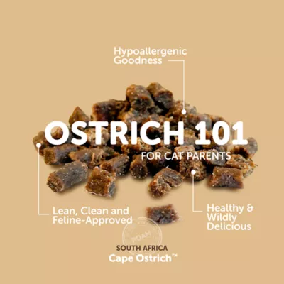 ROAM Ossy Nibs Sustainable Protein Premium Cat Treats - Cape Ostrich, 2 oz - Image 4