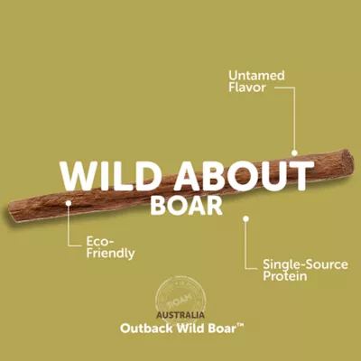 ROAM Wild-B Stix Sustainable Protein Premium Cat Treats - Outback Wild Boar, 5 ct, 0.7 oz - Image 4