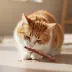 ROAM Ossy Stix Sustainable Protein Premium Cat Treats - Cape Ostrich, 5 ct, 0.7 oz image thumbnail 5